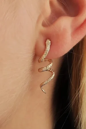 Small Snake Shaped Winding Earrings for Women Gold Color Vintage Punk Animal Metal Earring Cool Hiphop Party Jewelry Gifts